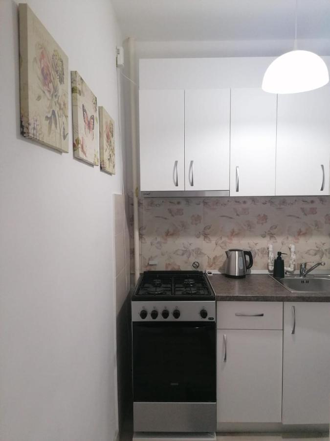 Laroka House Cosy And Modern Apartment Universitate-City Centre Bükreş Dış mekan fotoğraf